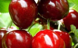 Космическая