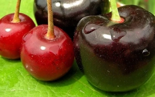 Взгляд / Взгляди