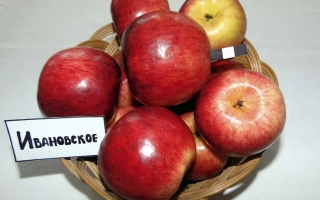 Корзина красных яблок с этикеткой ИВАНОВСКОЕ