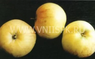 Надежда (Таганай)