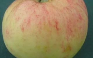 Осиповское