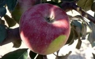 Салгирское