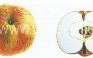 Скрыжапель