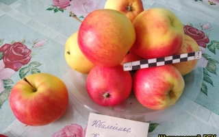 Юбилейное Калининой