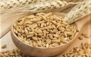 Диво Носивщини