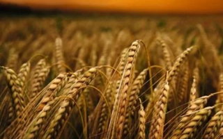 Гарант Премиум