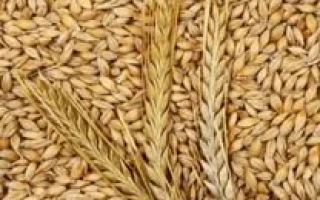 Казьминский