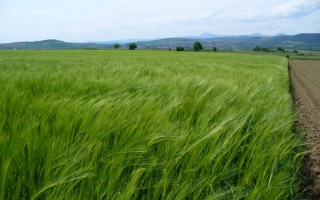 ЛГ Бельканто