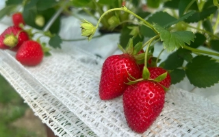 Академик Хабаров