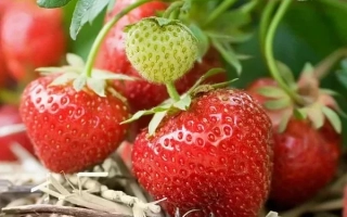 Выставочная