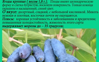 Бакчарский Великан