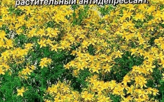 Золотодолинский