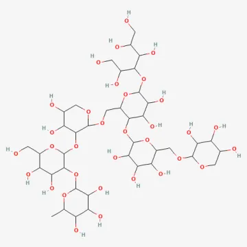 Heptamaloxyloglucan