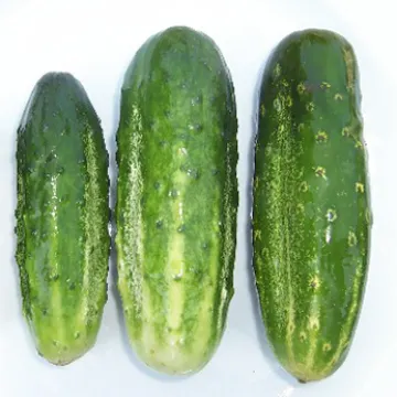 Cornichon de Paris