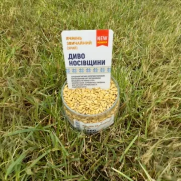 Обрий Носивщини