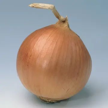 Банко