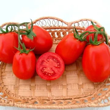 Шакира F1