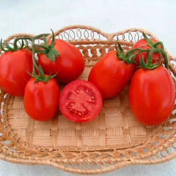 Яки F1