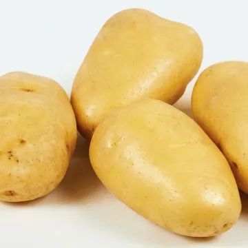 Секура