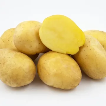 Наташа