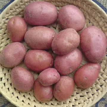 Альвара