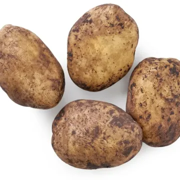 Pikolo Star