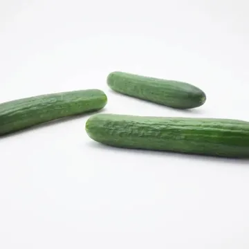 Яни РЦ F1