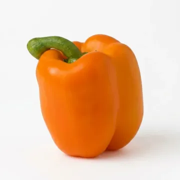 Эней