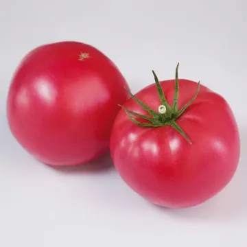 Тисато F1