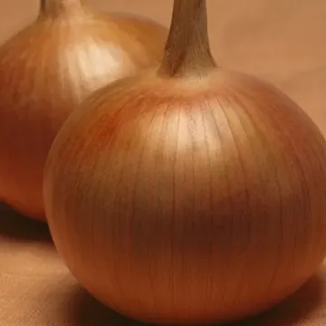 БОНУС F1