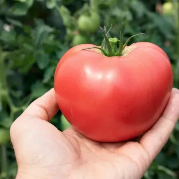 TECH 2721 F1