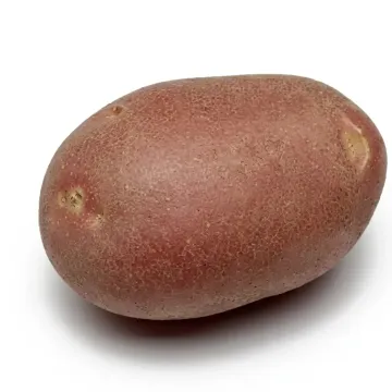 Моцарт