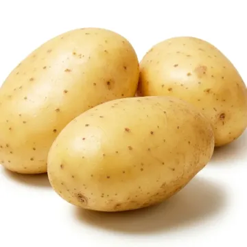 Гала