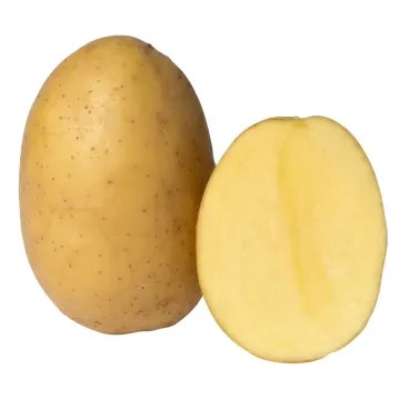 Беллаприма