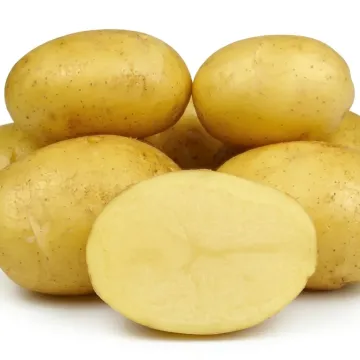 Джелли