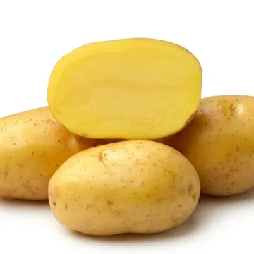 Roksana