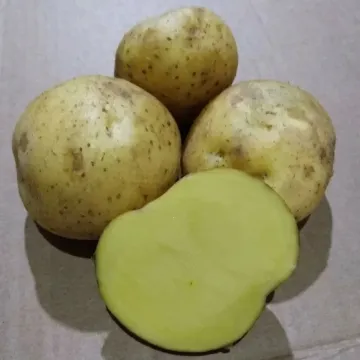 Кобза