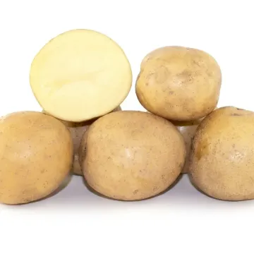 Скарбниця