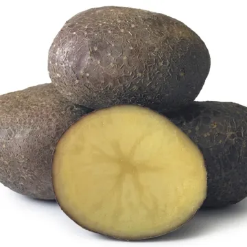 Kimeria