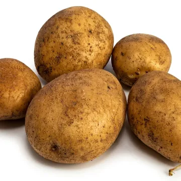 Овація