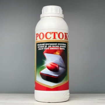 Росток