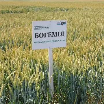 Богемия