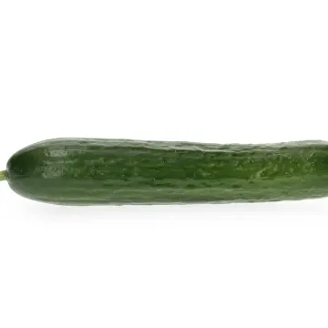 Cucumber RZ F1 / Vokal RZ F1