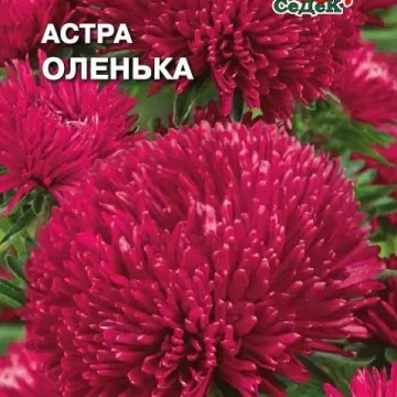 Олэнка / Оленка