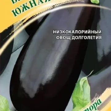 Южная Ночь