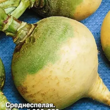 Светлая Мечта