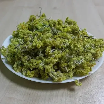 Солнечный