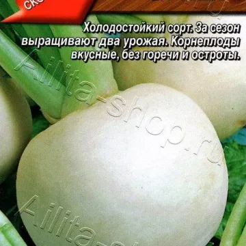 Саша