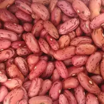 Дар