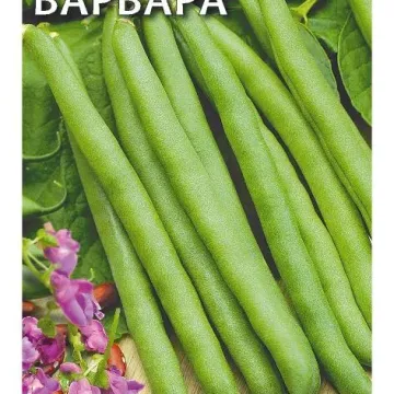 Варвара